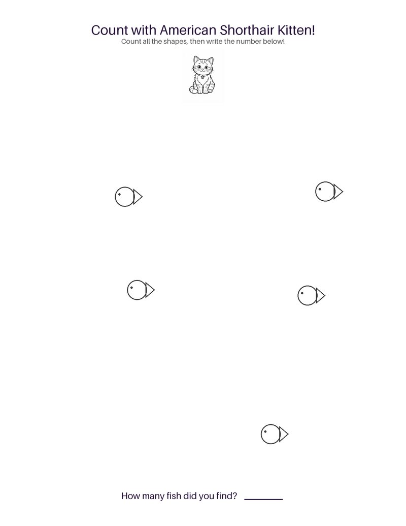 American Shorthair Kitten counting set preview