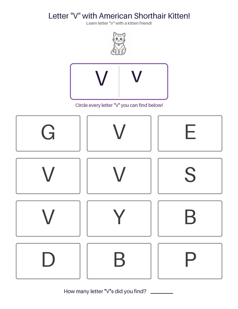 American Shorthair Kitten abc set preview