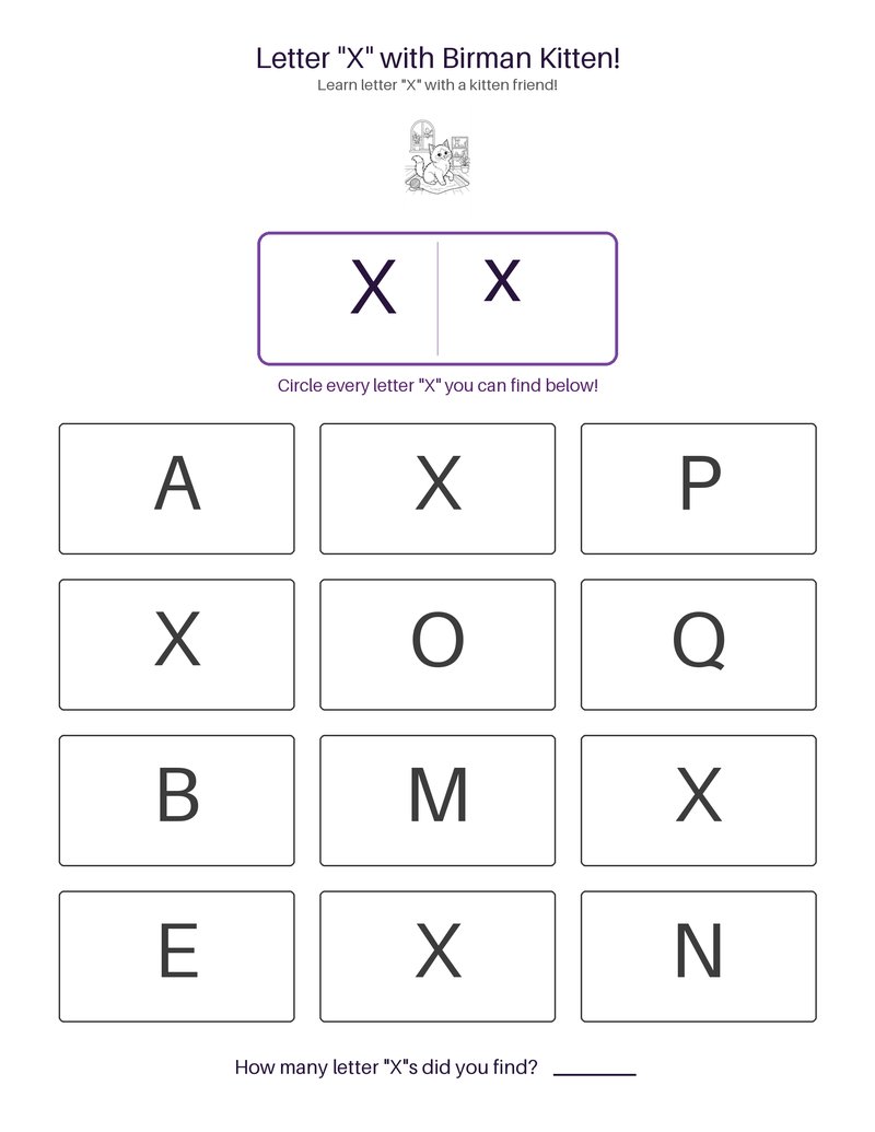 Birman Kitten abc set preview