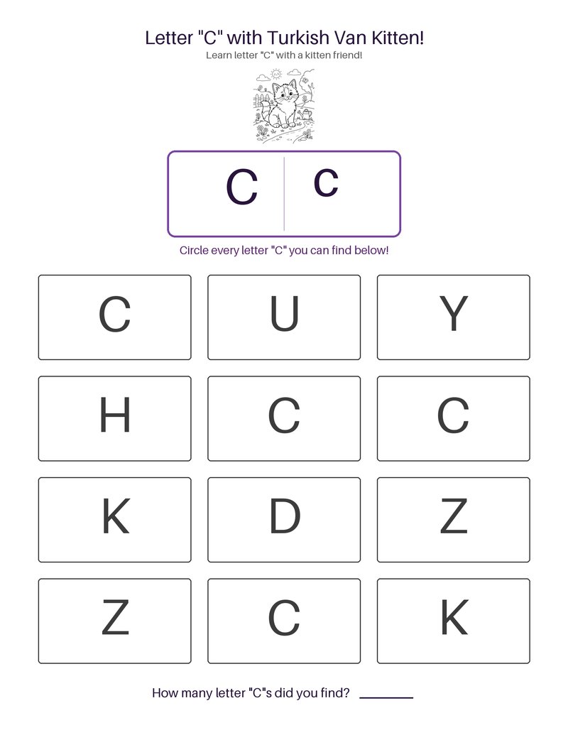 Turkish Van Kitten abc set preview