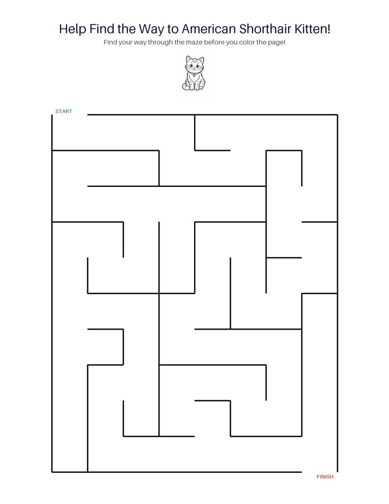 American Shorthair Kitten maze set preview