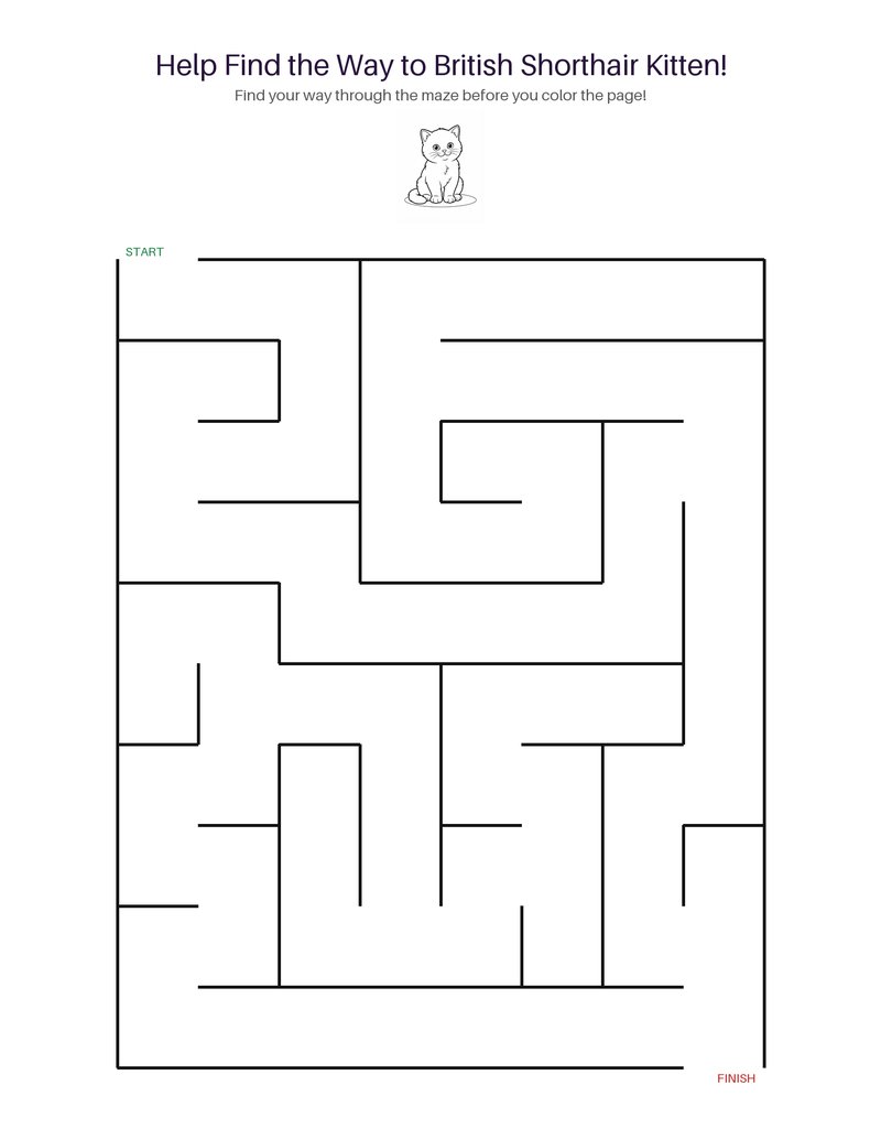 British Shorthair Kitten maze set preview