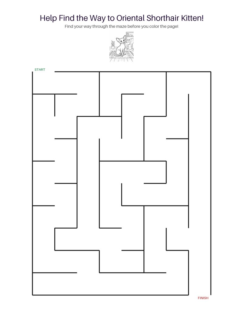 Oriental Shorthair Kitten maze set preview